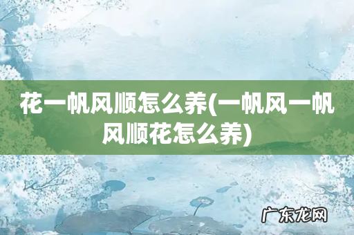 一帆风一帆风顺花怎么养 花一帆风顺怎么养