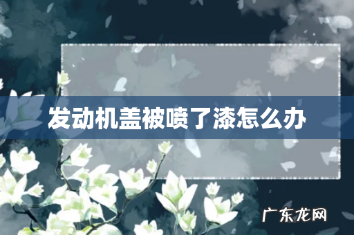 发动机盖被喷了漆怎么办