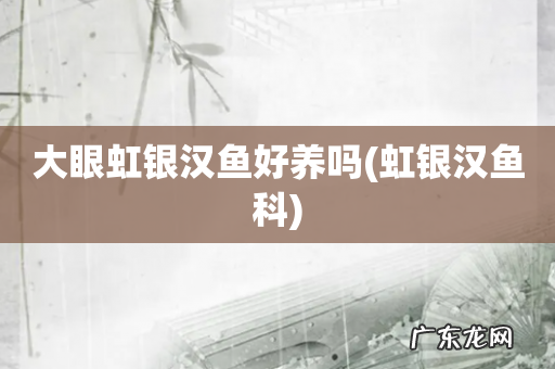 虹银汉鱼科 大眼虹银汉鱼好养吗