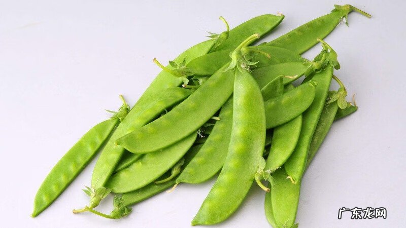 豆类大全图片 豆类