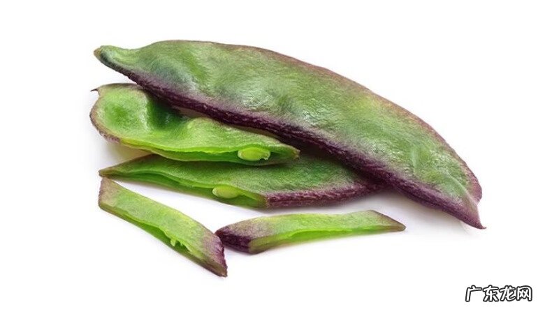 豆类大全图片 豆类