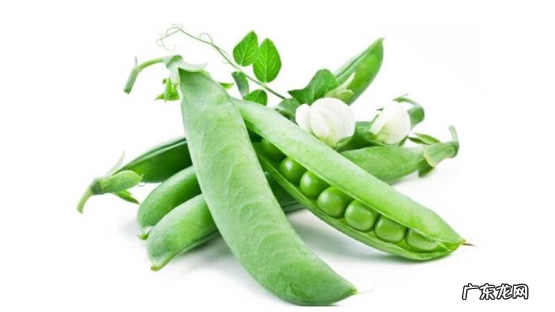 豆类大全图片 豆类