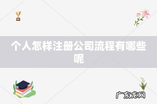 个人怎样注册公司流程有哪些呢