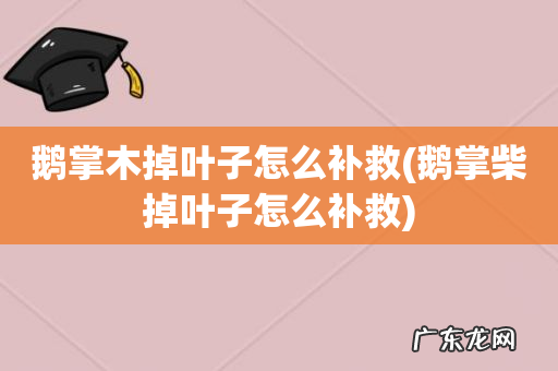鹅掌柴掉叶子怎么补救 鹅掌木掉叶子怎么补救