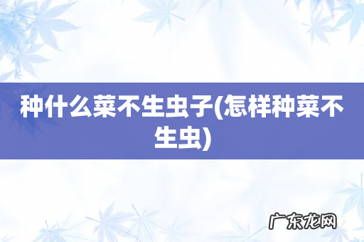 怎样种菜不生虫 种什么菜不生虫子