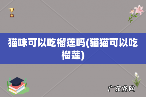 猫猫可以吃榴莲 猫咪可以吃榴莲吗