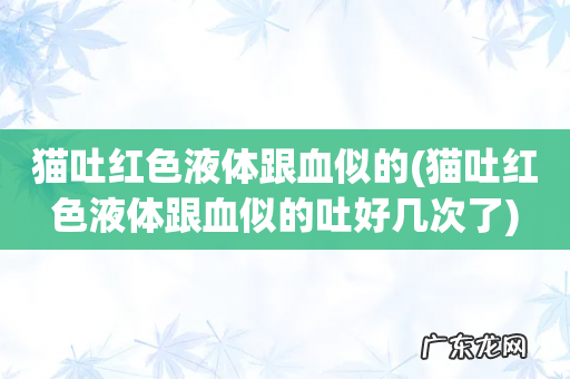 猫吐红色液体跟血似的吐好几次了 猫吐红色液体跟血似的