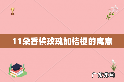 11朵香槟玫瑰加桔梗的寓意