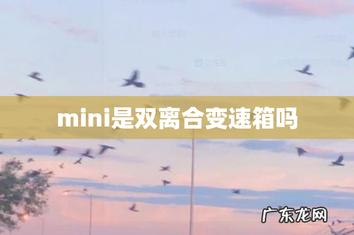 mini是双离合变速箱吗