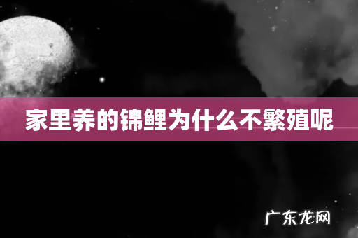 家里养的锦鲤为什么不繁殖呢