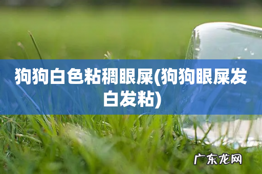 狗狗眼屎发白发粘 狗狗白色粘稠眼屎