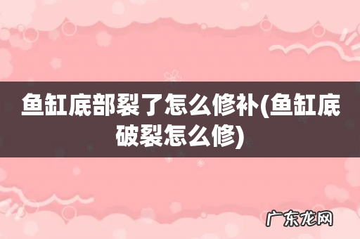鱼缸底破裂怎么修 鱼缸底部裂了怎么修补