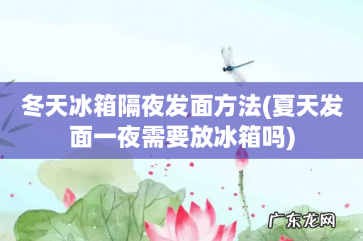 夏天发面一夜需要放冰箱吗 冬天冰箱隔夜发面方法