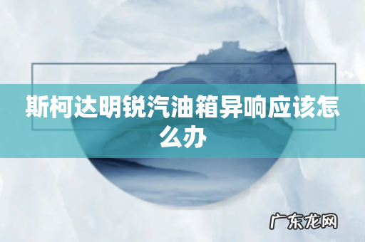 斯柯达明锐汽油箱异响应该怎么办