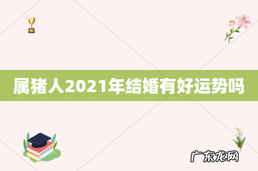 属猪人2021年结婚有好运势吗