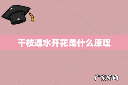 干枝遇水开花是什么原理