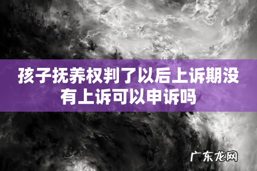 孩子抚养权判了以后上诉期没有上诉可以申诉吗