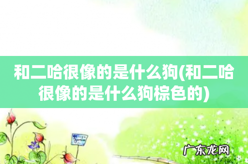 和二哈很像的是什么狗棕色的 和二哈很像的是什么狗