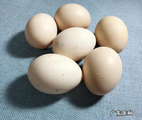 例假期间不能吃什么食物 例假期间不能吃什么?