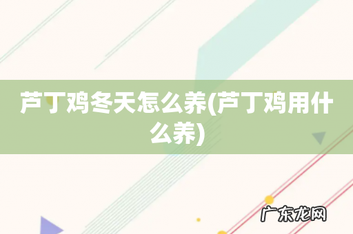 芦丁鸡用什么养 芦丁鸡冬天怎么养