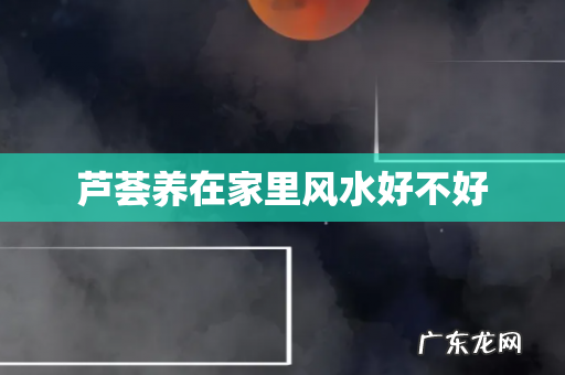 芦荟养在家里风水好不好
