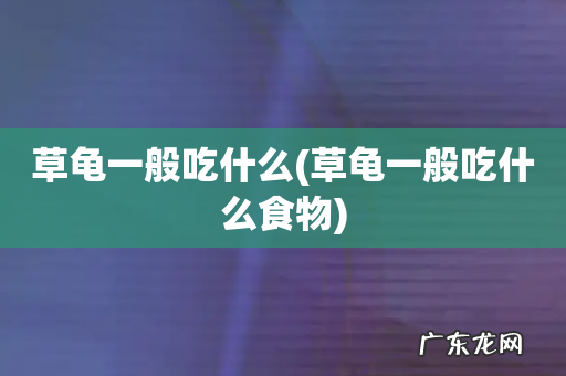 草龟一般吃什么食物 草龟一般吃什么