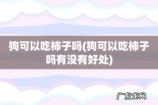 狗可以吃柿子吗有没有好处 狗可以吃柿子吗