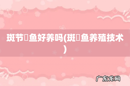 斑鳠鱼养殖技术 斑节鳉鱼好养吗