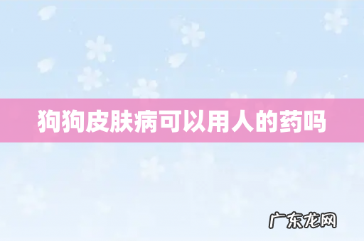 狗狗皮肤病可以用人的药吗