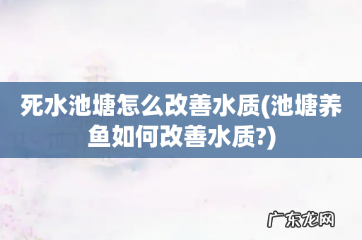 池塘养鱼如何改善水质? 死水池塘怎么改善水质