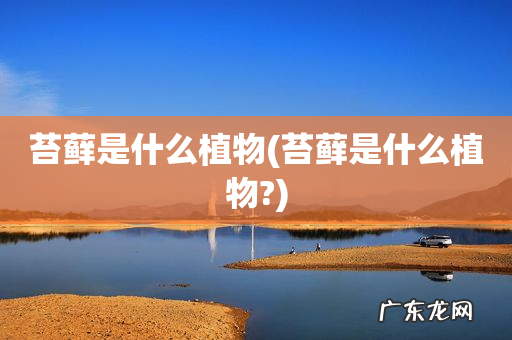 苔藓是什么植物? 苔藓是什么植物