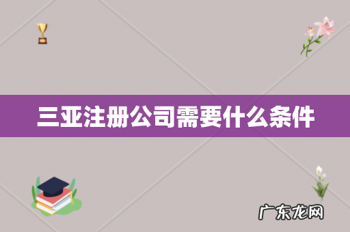 三亚注册公司需要什么条件