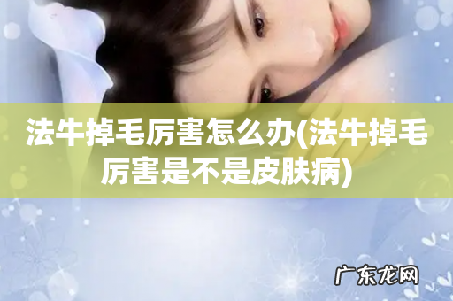法牛掉毛厉害是不是皮肤病 法牛掉毛厉害怎么办