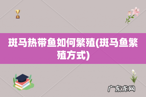 斑马鱼繁殖方式 斑马热带鱼如何繁殖
