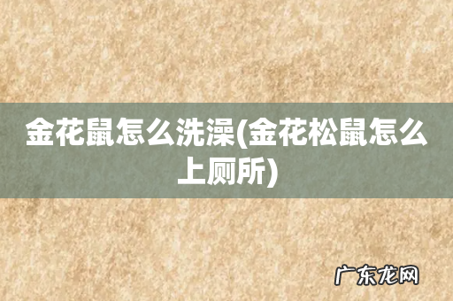 金花松鼠怎么上厕所 金花鼠怎么洗澡