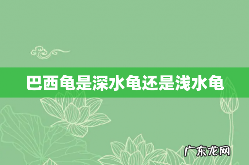 巴西龟是深水龟还是浅水龟