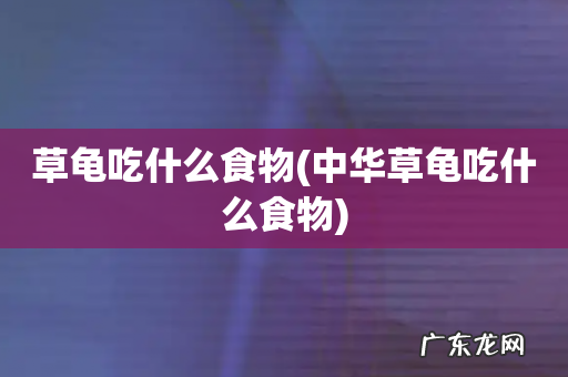 中华草龟吃什么食物 草龟吃什么食物
