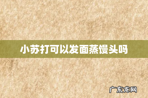 小苏打可以发面蒸馒头吗