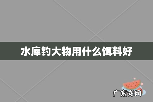 水库钓大物用什么饵料好
