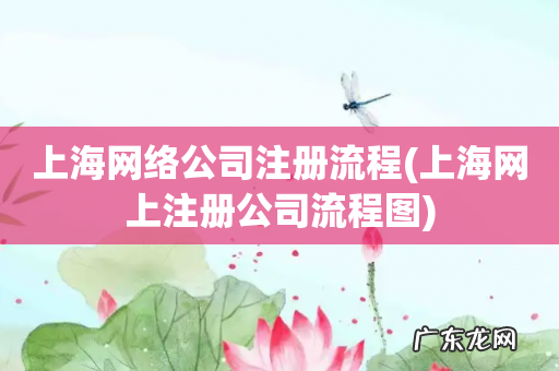 上海网上注册公司流程图 上海网络公司注册流程
