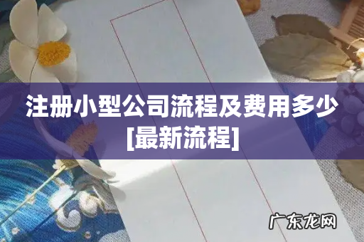 注册小型公司流程及费用多少[最新流程]