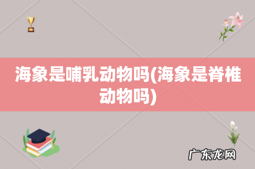 海象是脊椎动物吗 海象是哺乳动物吗