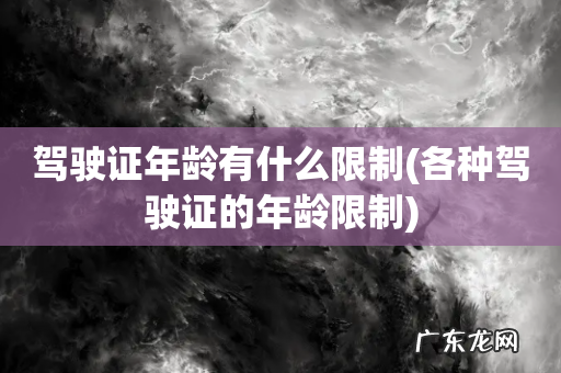 各种驾驶证的年龄限制 驾驶证年龄有什么限制