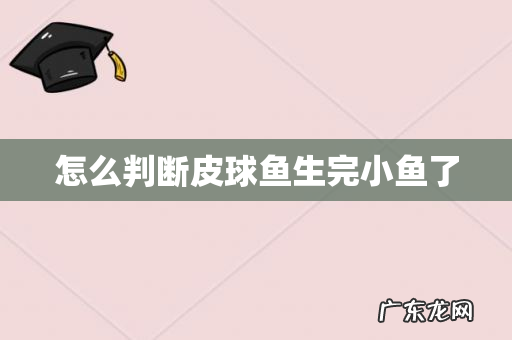 怎么判断皮球鱼生完小鱼了