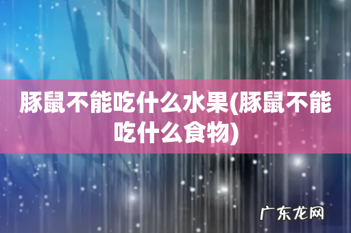豚鼠不能吃什么食物 豚鼠不能吃什么水果