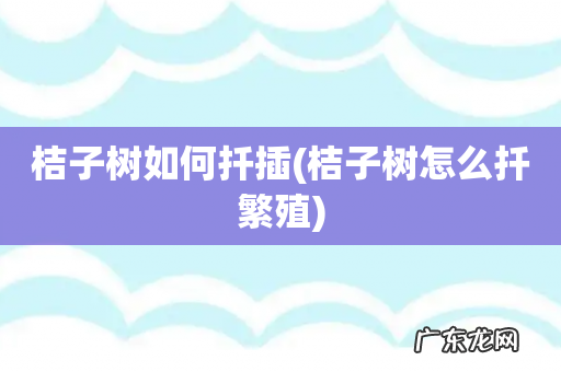 桔子树怎么扦繁殖 桔子树如何扦插