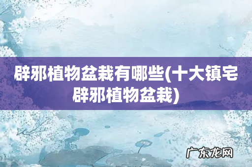 十大镇宅辟邪植物盆栽 辟邪植物盆栽有哪些