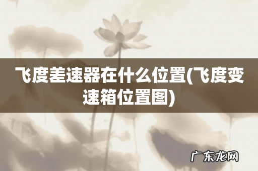 飞度变速箱位置图 飞度差速器在什么位置