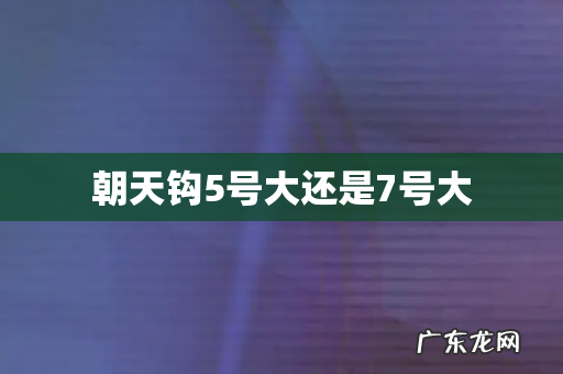 朝天钩5号大还是7号大