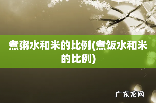 煮饭水和米的比例 煮粥水和米的比例